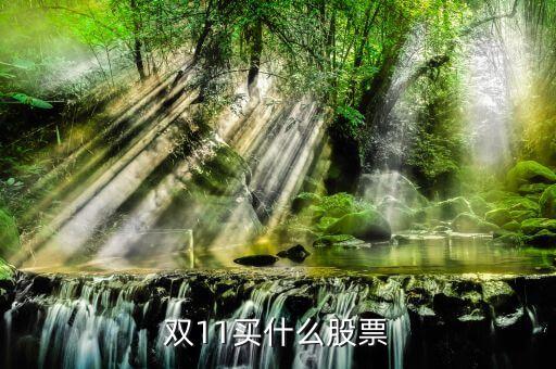 雙11買什么股票