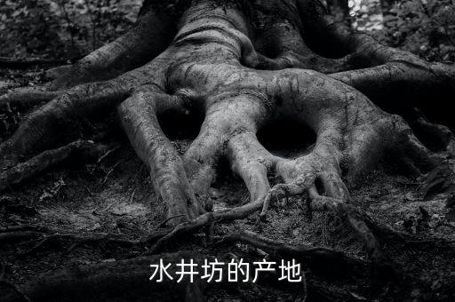 水井坊的產(chǎn)地