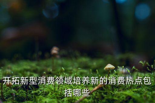 開拓新型消費領(lǐng)域培養(yǎng)新的消費熱點包括哪些