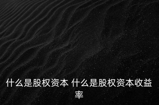 什么是股權(quán)資本 什么是股權(quán)資本收益率