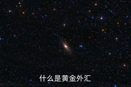 什么是黃金外匯