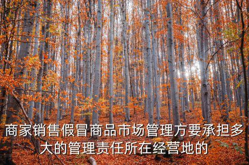 商家銷售假冒商品市場管理方要承擔多大的管理責任所在經營地的