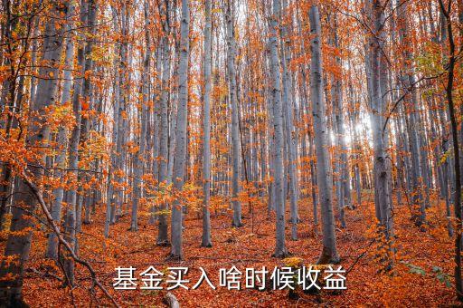 股票基金什么時候收益，001637股票基金什么時候可以看收益