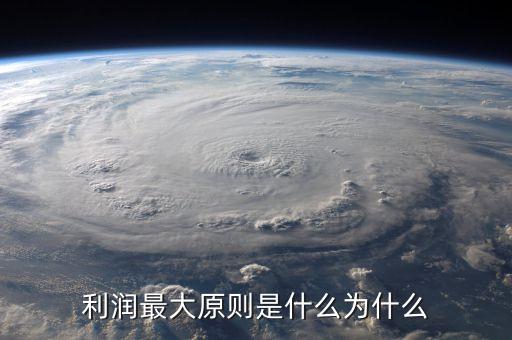 利潤最大原則是什么為什么