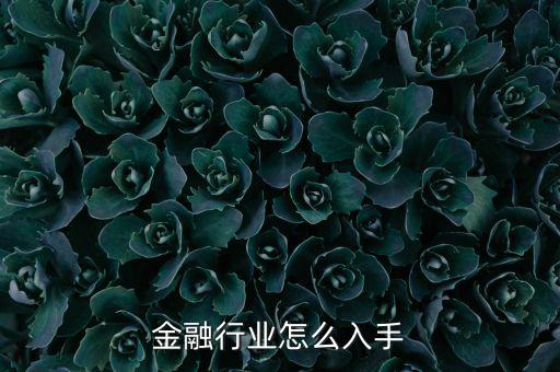 金融先入手什么，金融行業(yè)怎么入手