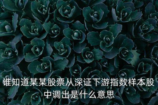 誰(shuí)知道某某股票從深證下游指數(shù)樣本股中調(diào)出是什么意思