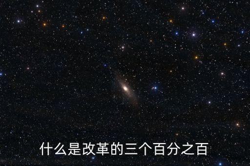 什么是改革的三個百分之百