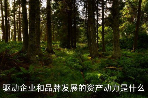 驅(qū)動企業(yè)和品牌發(fā)展的資產(chǎn)動力是什么