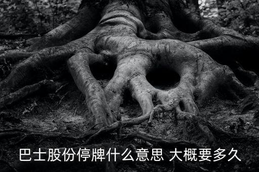 巴士股份停牌什么意思 大概要多久