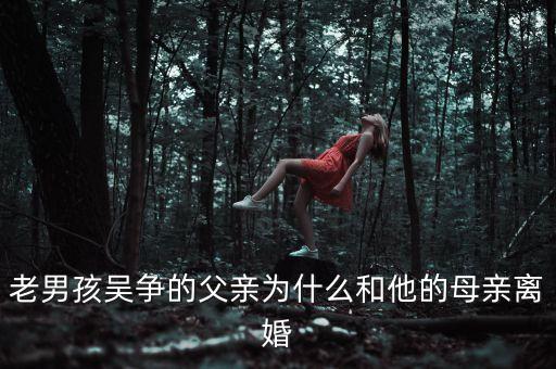 馮民堂為什么離婚，馮雪為什么和老公離婚