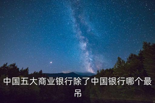 中國(guó)五大商業(yè)銀行除了中國(guó)銀行哪個(gè)最吊