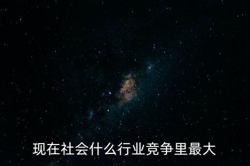 現(xiàn)在社會什么行業(yè)競爭里最大