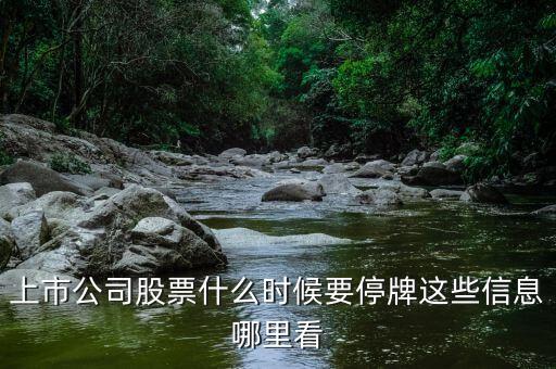 上市公司股票什么時候要停牌這些信息哪里看