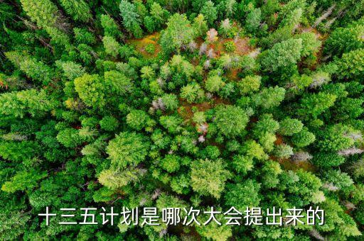 十三五計(jì)劃是哪次大會(huì)提出來(lái)的