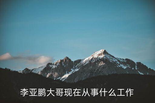 李亞鵬大哥現(xiàn)在從事什么工作