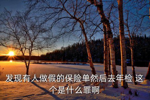 什么是做假保單，發(fā)現(xiàn)有人做假的保險單然后去年檢 這個是什么罪啊