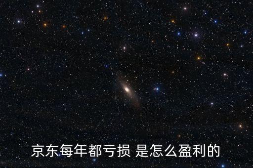 京東每年都虧損 是怎么盈利的