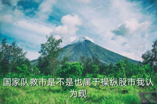 國家隊救市指的是什么，國家隊救市指的是什么