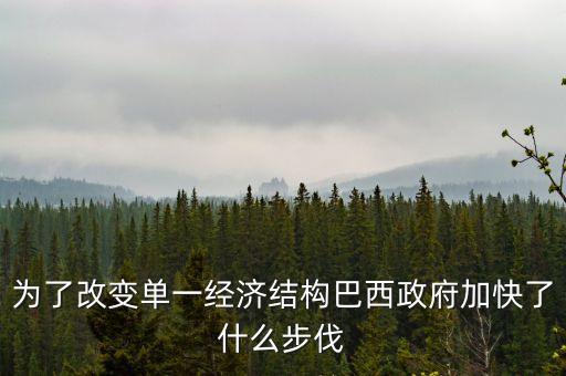 巴西2010年經(jīng)濟(jì)為什么增長這么快，為了改變單一經(jīng)濟(jì)結(jié)構(gòu)巴西政府加快了什么步伐