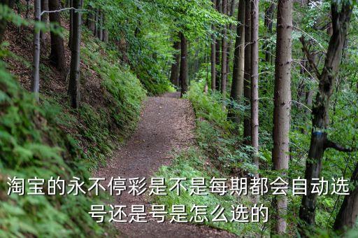 淘寶的永不停彩是不是每期都會自動選號還是號是怎么選的