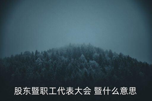 股東大會什么意思，上市公司開的股東大會有什么意義