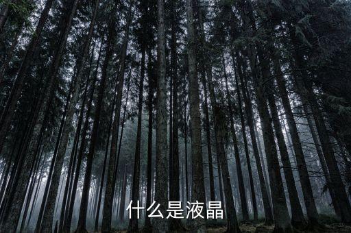 液晶單體是什么，現(xiàn)在液晶電腦的液晶體是什么東西呢