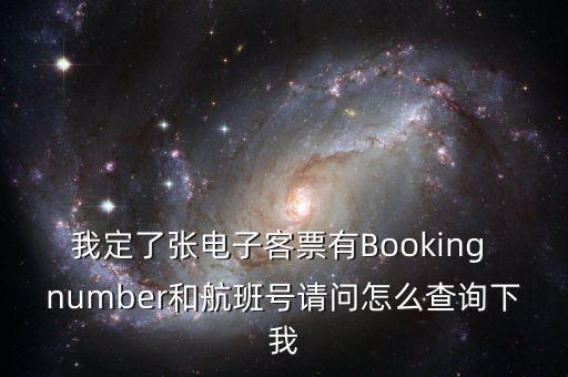 美聯(lián)航登機牌序號是什么，我定了張電子客票有Booking number和航班號請問怎么查詢下我