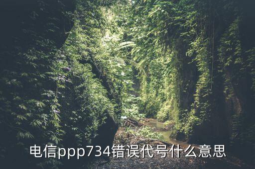 ppp在醫(yī)學(xué)代表什么，電信ppp734錯(cuò)誤代號什么意思