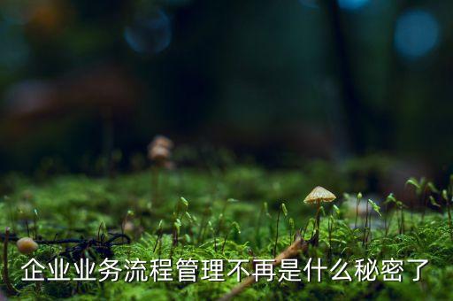 流程管理的亂象是什么，企業(yè)業(yè)務(wù)流程管理不再是什么秘密了