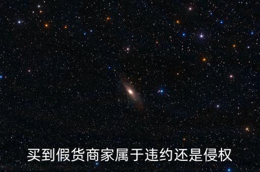 假進口商家承擔什么責任，商家銷售假冒商品市場管理方要承擔多大的管理責任所在經(jīng)營地的