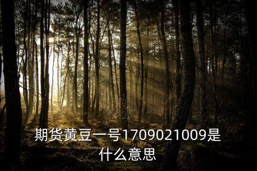 豆一1609什么意思，期貨黃豆一號1709021009是什么意思