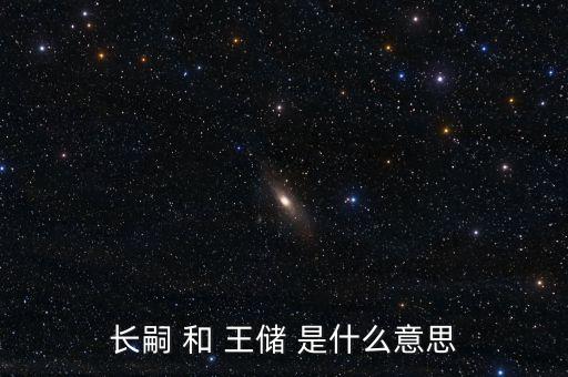 副王儲是什么，長嗣 和 王儲 是什么意思