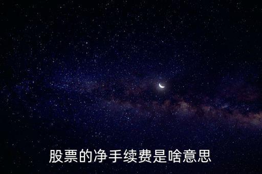 凈手續(xù)費是什么意思，保險學中的凈保費的概念是什么