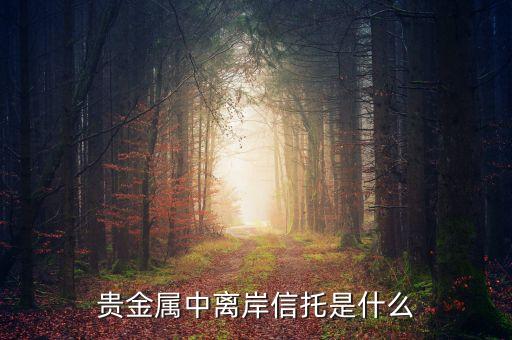 貴金屬中離岸信托是什么