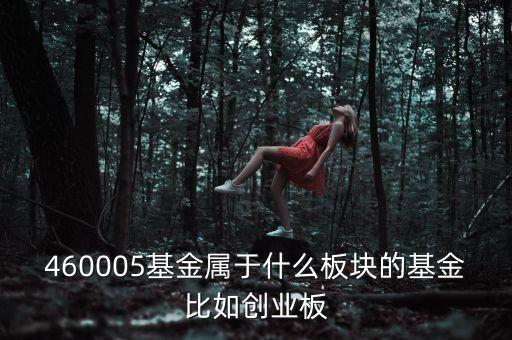 富國(guó)天益價(jià)值重倉(cāng)什么板塊，460005基金屬于什么板塊的基金比如創(chuàng)業(yè)板
