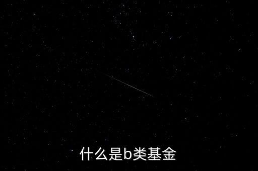 什么是b類(lèi)基金