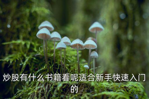 炒股有什么書(shū)籍看呢適合新手快速入門(mén)的