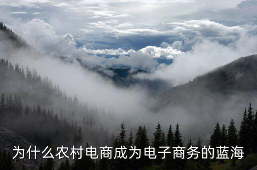 電商進村有什么政策，做電商進村的流程是怎樣的