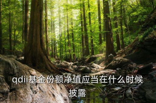 qdii基金份額凈值應(yīng)當(dāng)在什么時(shí)候披露