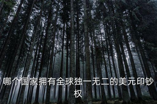 哪個國家擁有全球獨一無二的美元印鈔權(quán)