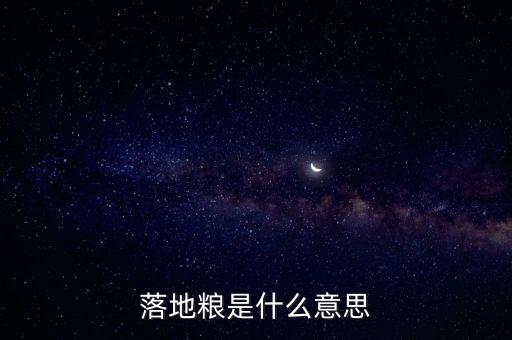 落地糧是什么意思