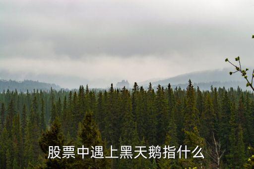 股票中遇上黑天鵝指什么
