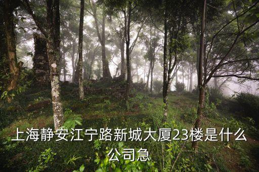 上海眾城大廈第23層是什么，上海浦東新區(qū)東方路818號(hào)眾城大廈1604室是什么公司啊