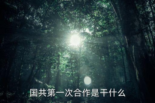 齊星鐵塔做什么，國共第一次合作是干什么