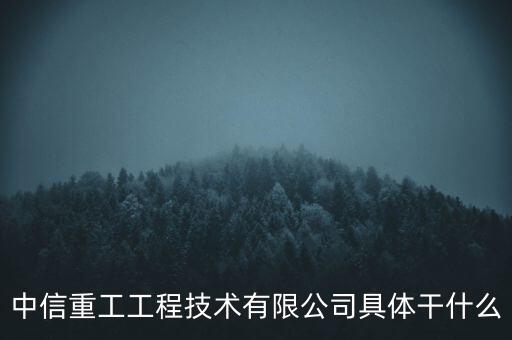 中信重工什么時間軍工立項，中信重工工程技術(shù)有限公司具體干什么