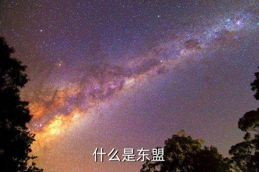什么是東盟