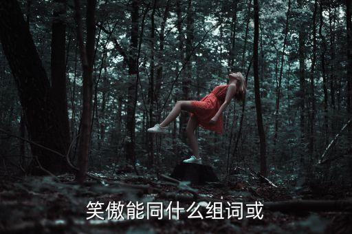 笑傲能同什么組詞或