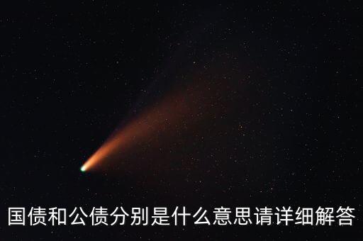 國債和公債分別是什么意思請詳細解答