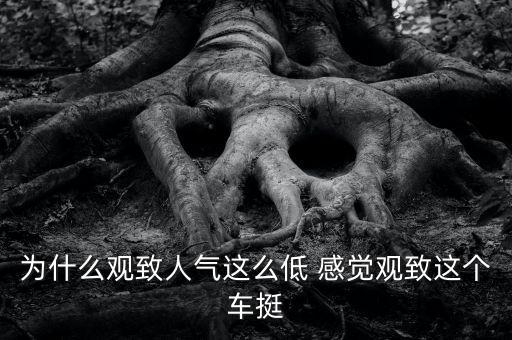 觀致為什么銷量低，觀致車質(zhì)量沒的說為啥銷量一般呢