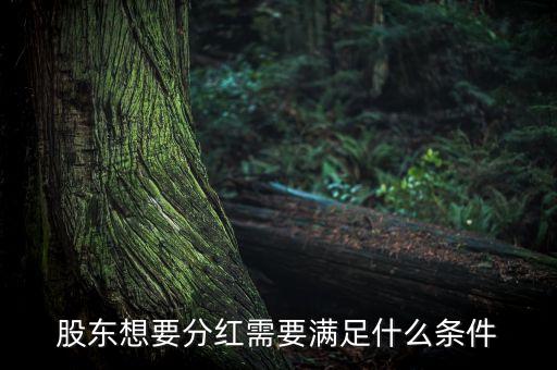 股東想要分紅需要滿足什么條件